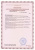 Orthopedic bandages